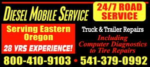 Diesel Mobile Service logo